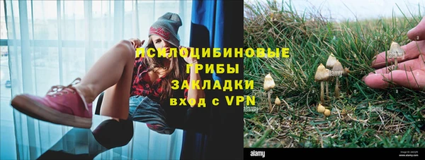 spice Абинск
