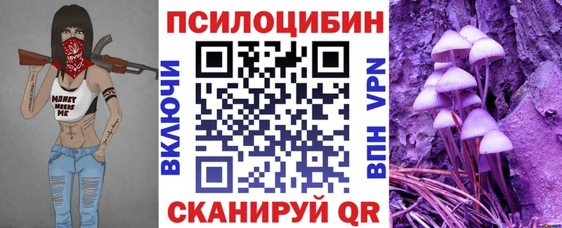 kraken tor  Тавда  Псилоцибиновые грибы Psilocybe 