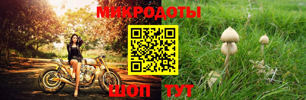 Галлюциногенные грибы ЛСД  Вход с VPN  купить наркотик  Тавда 