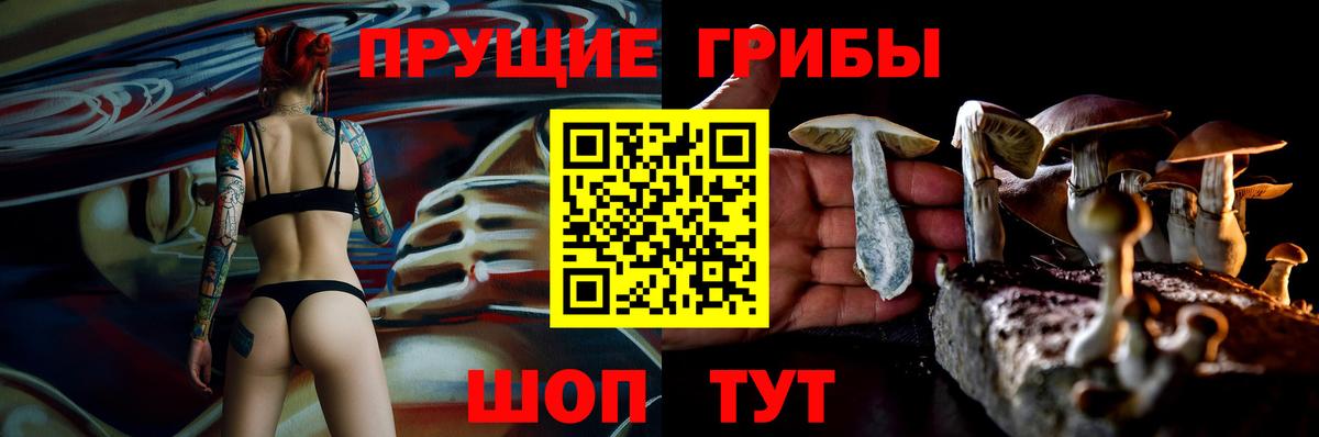 Псилоцибиновые грибы ЛСД Тавда