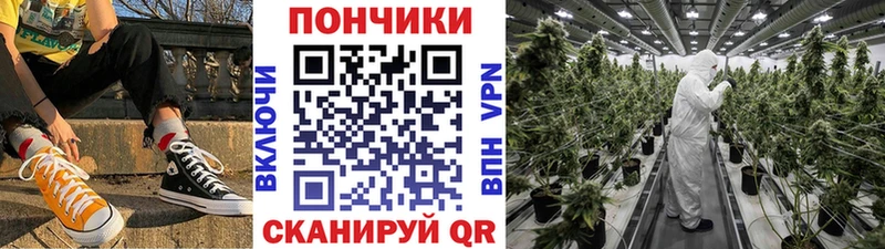Конопля ГИДРОПОН  МЕГА как зайти  Тавда 